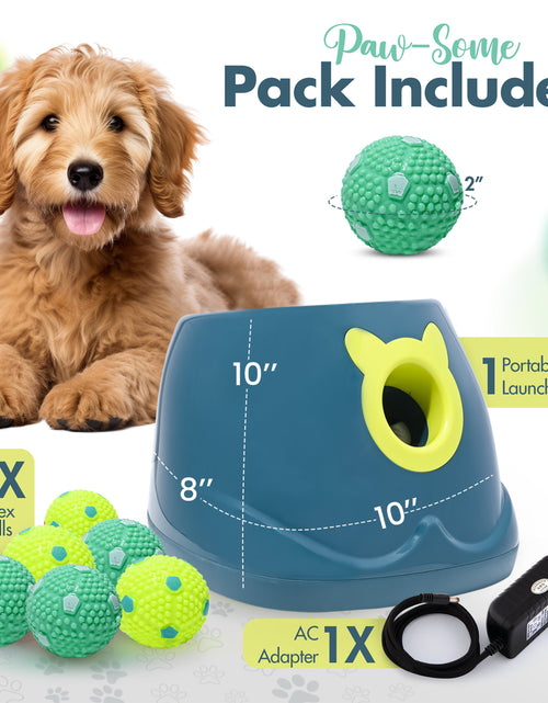 Load image into Gallery viewer, Automatic Dog Ball Launcher - Dog Ball Fetch Machine, Ball Thrower for Dogs, for Small to Medium Sized Dogs, Great Interactive Dog Toy with 6 Latex Balls, Dual Power Supply
